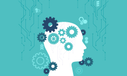 IT OPERATIONS MANAGEMENT Services
