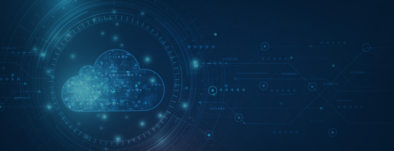 Enterprise Data Platform Development: Integrating Microservices and API