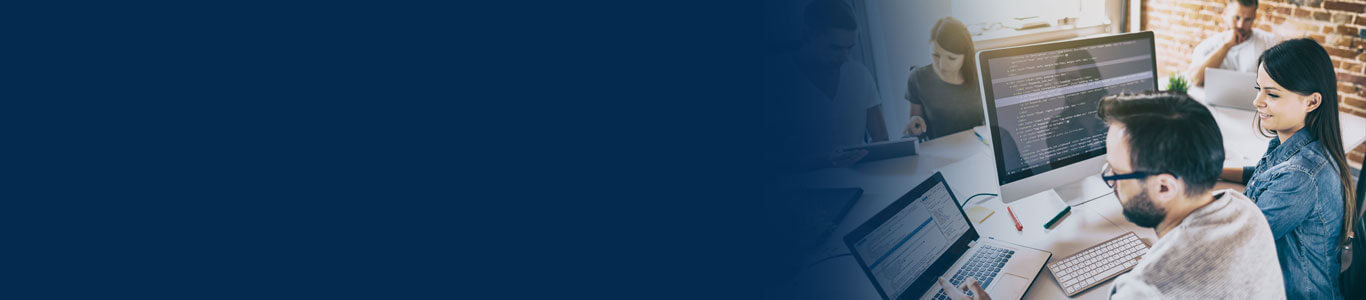 Secure SDLC consulting