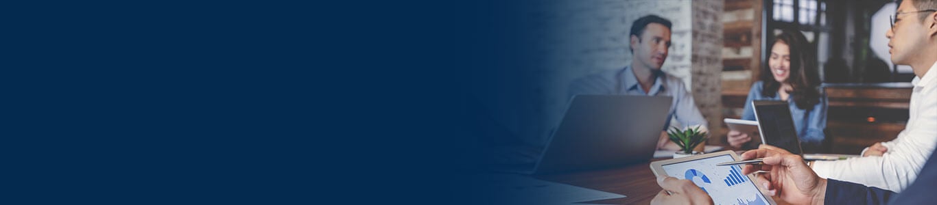 ANALYTICS PARTNERS SERVICES