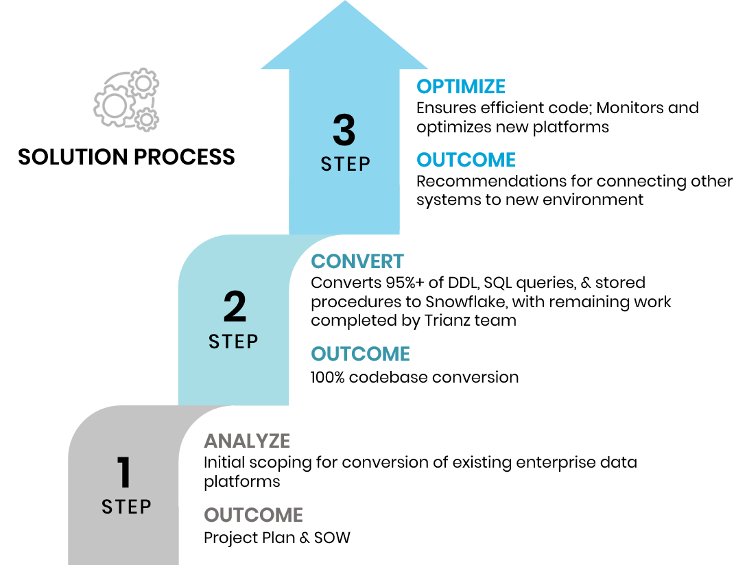 Netezza Solution Process